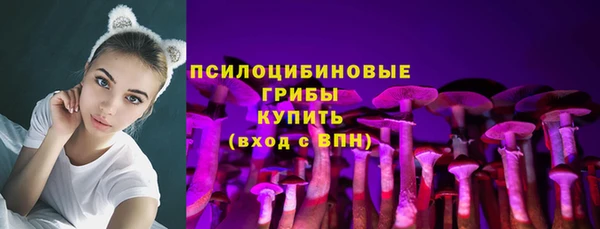 сатива Абдулино