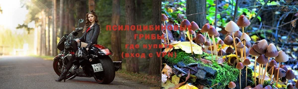 скорость Абинск