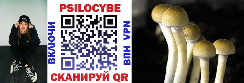 Псилоцибиновые грибы MAGIC MUSHROOMS  продажа наркотиков  Емва 